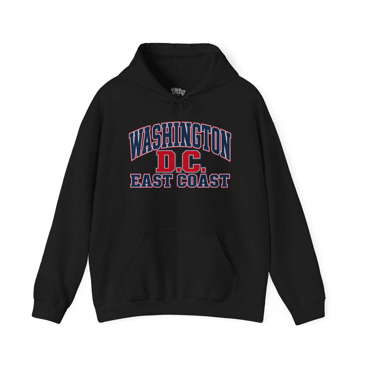Washington DC East Coast Unisex Hoodie State Name Graphic