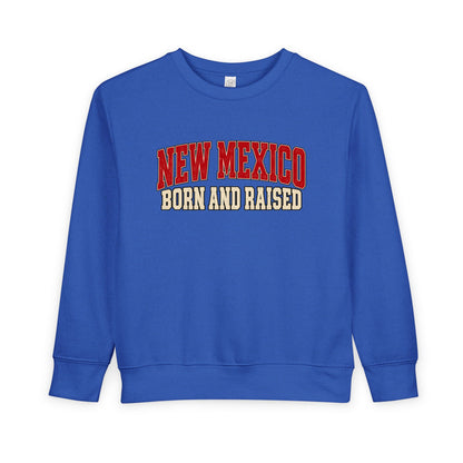 New Mexico Born and Raised Retro Collegiate Unisex Toddler Sweatshirt