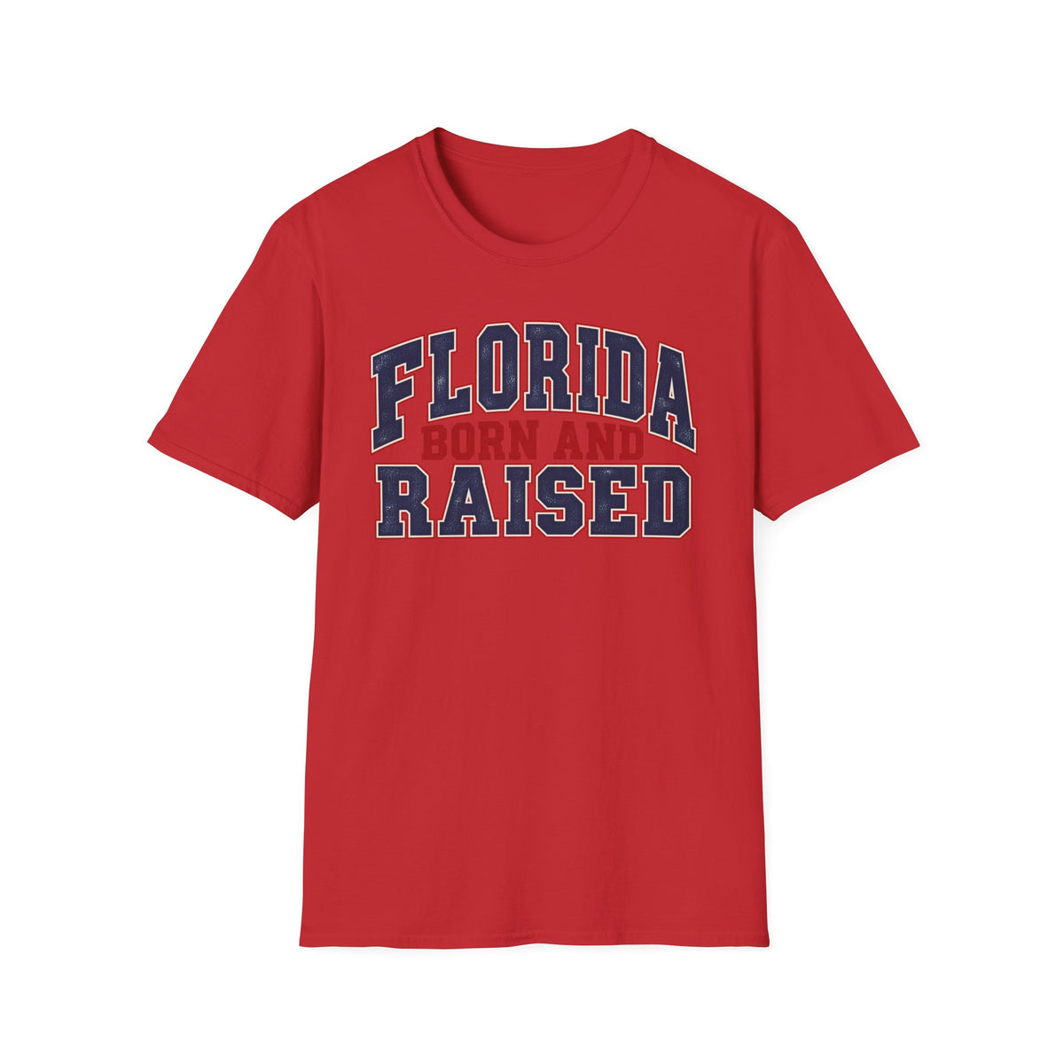 Florida Born and Raised Unisex Softstyle T Shirt State Name Graphic Tee