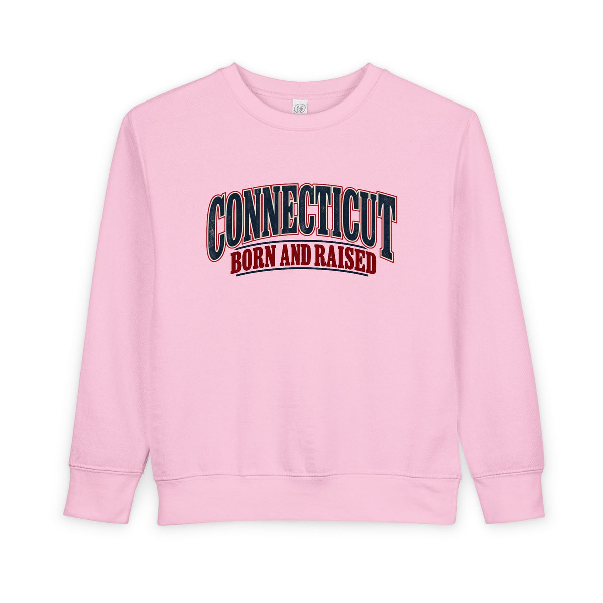 Connecticut Born and Raised Classic Souvenir Unisex Toddler Sweatshirt