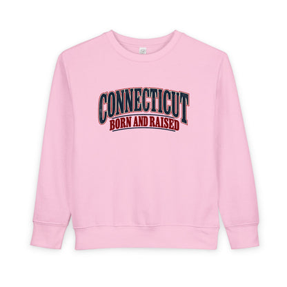 Connecticut Born and Raised Classic Souvenir Unisex Toddler Sweatshirt