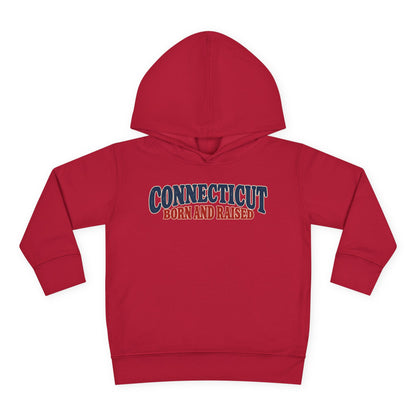 Connecticut Born and Raised 1970s Americana Unisex Toddler Pullover Fleece Hoodie