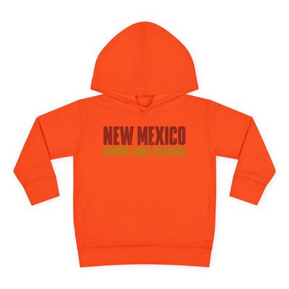 New Mexico Born and Raised Minimal Vintage Unisex Toddler Pullover Fleece Hoodie