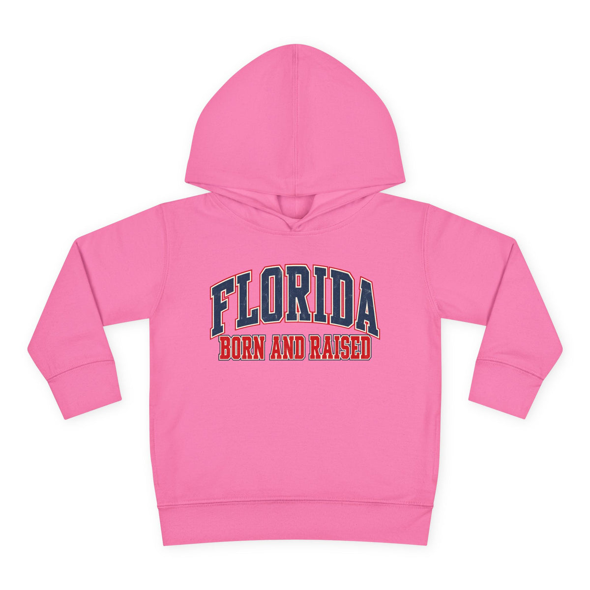 Florida Born and Raised Vintage Collegiate Unisex Toddler Pullover Fleece Hoodie
