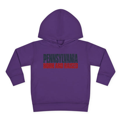 Pennsylvania Born and Raised Northeast Streetwear Unisex Toddler Pullover Fleece Hoodie