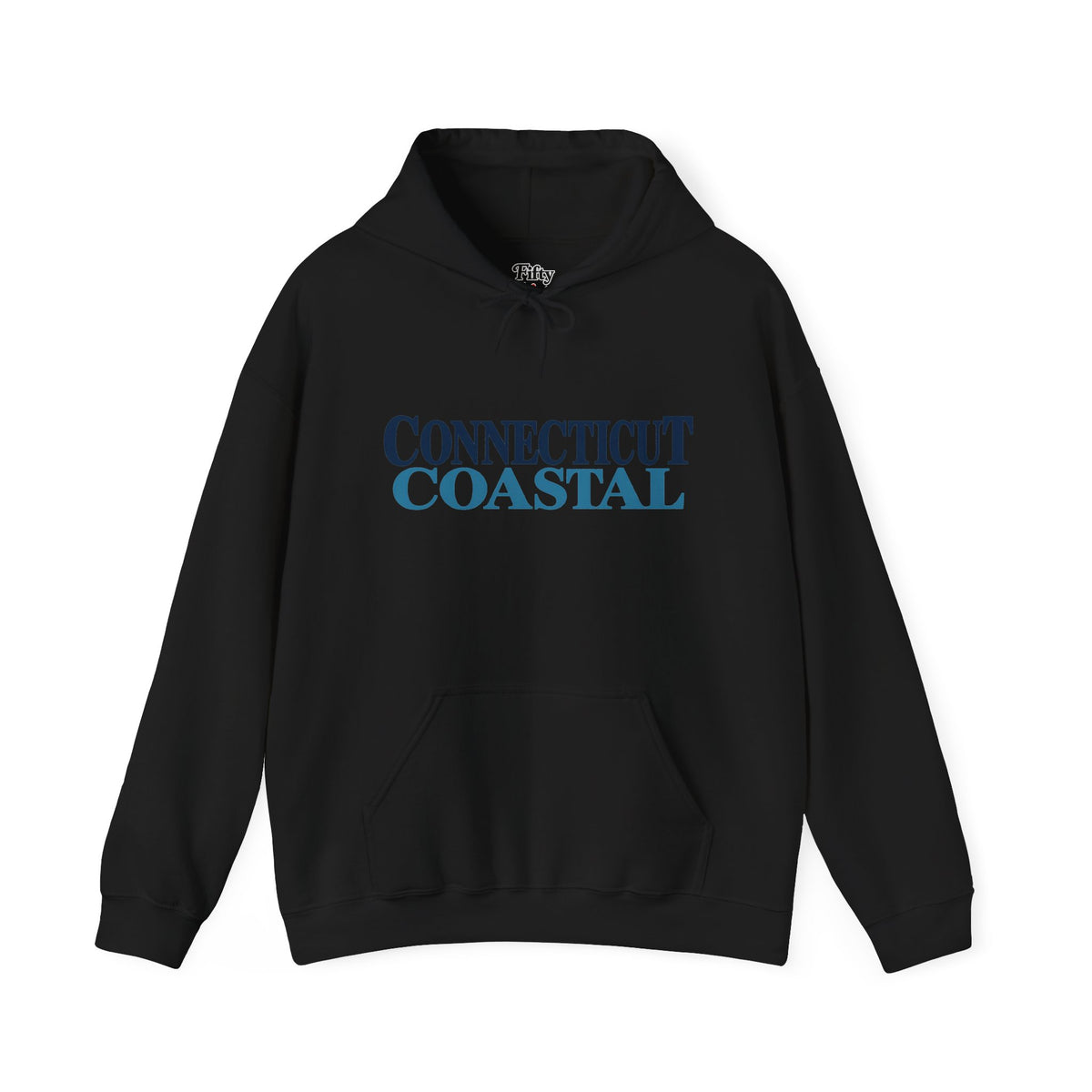 Connecticut Coastal Unisex Hoodie State Name Graphic