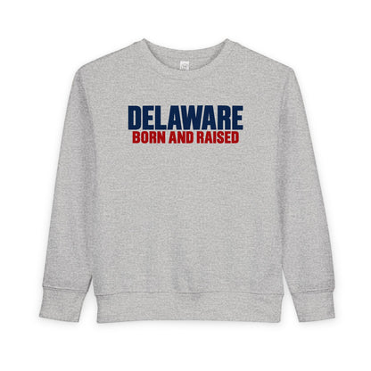Delaware Born and Raised Minimal Modern Unisex Toddler Sweatshirt
